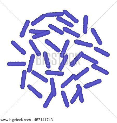 Rod Shaped Bacilli Bacteria Cell Medical Icon