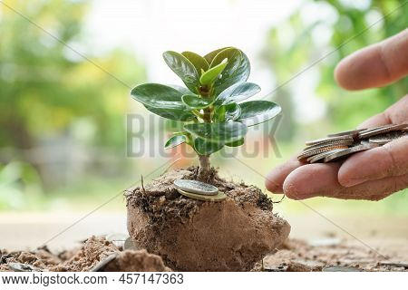 Saving Energy And Money Concept. Idea For Save Or Investment. Pile Coin For Saving. Money Saving Con