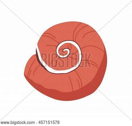 Snail Sea Shell. Marine Undersea Swirled Seashell Of Round Spiral Shape. Underwater Mollusc. Mollusk