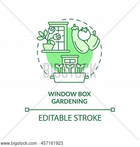 Window Box Gardening Green Concept Icon. Windosill Containers. Gardening Method Abstract Idea Thin L