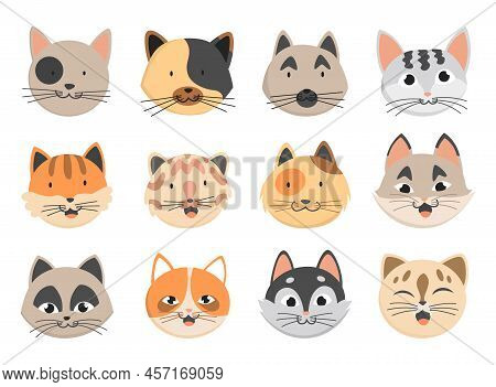 Cats Heads Emoticons, Icons, Avatars Collection. Various Funny Decorative Drawn Cat Faces Characters