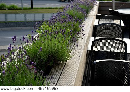 The Railings Of The Terrace On The Balcony Are Formed By Boxes Lined With Natural Terrace Boards Wit