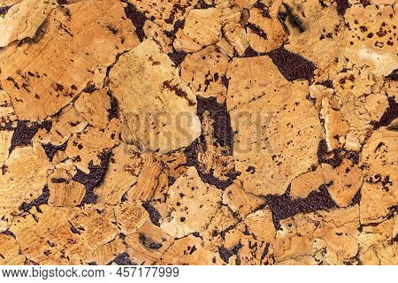 Beautiful Natural Texture Of Cork Tree With Decorative Painted Streaks. Cork Cover Background. Woode