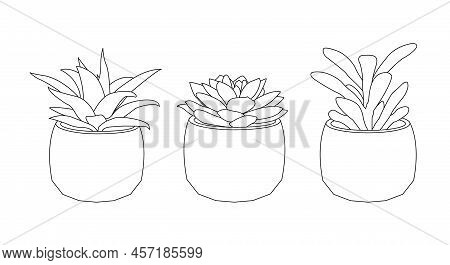 Eco Interior With Succulents In Simple Linear Style. Editable Stroke Vector Illustration