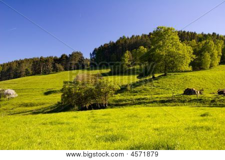 Sommerlandschaft