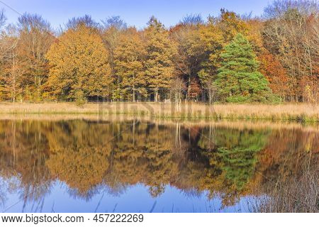 Colorful Trees Reflecting In The Water In Borger, Netherlands
