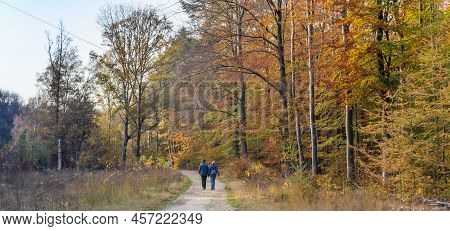 Panorama Of A Couple Hiking In The Forest Near Borger, Netherlands