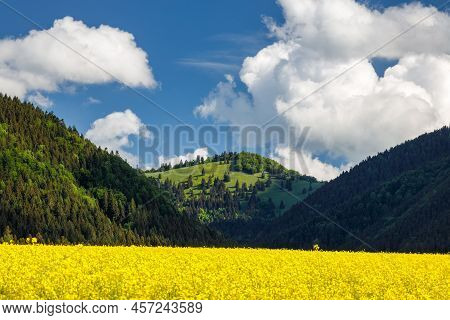 Spring Landscape With Fields Of Oilseed Rape. Hills And Blue Sky With Dramatic Clouds In The Backgro