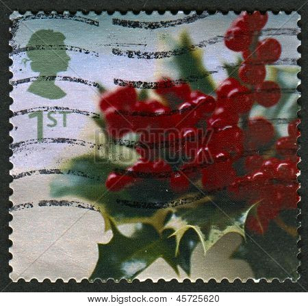UK - CIRCA 2002: Um selo imprimido em UK mostra imagem da Holly, por volta de 2002.