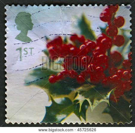 UK - CIRCA 2002: Um selo imprimido em UK mostra imagem da Holly, por volta de 2002.