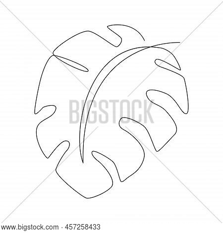 One Line Drawing Of Tropical Palm Leaves. Art. Vector Illustration.