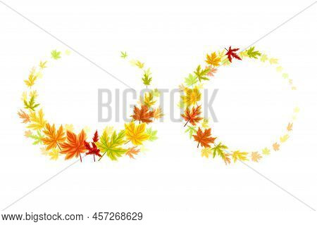 Maple Palmate Leaves Of Bright Autumn Colour Arranged In Decorative Semi Circle Or Wreath Vector Set