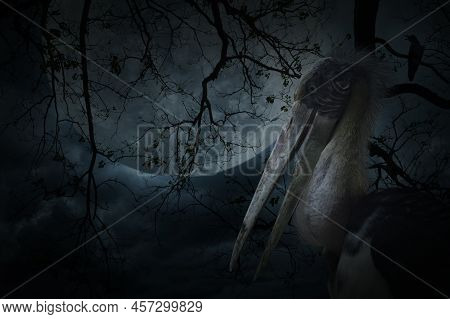Lesser Adjutant Stork Bird Standing Over Dead Tree, Crow, Birds, Full Moon And Spooky Cloudy Sky, Ha