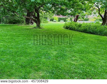 Beautiful Lawn With Green Grass In Park On Sunny Day
