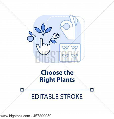 Choose Right Plants Light Blue Concept Icon. Place And Condition. Gardening Tip Abstract Idea Thin L