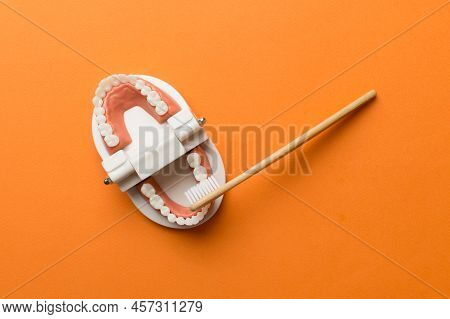 Closeup Model Of A Human Jaw With White Teeth And Toothbrush. Dentistry Conceptual Photo. Prosthetic