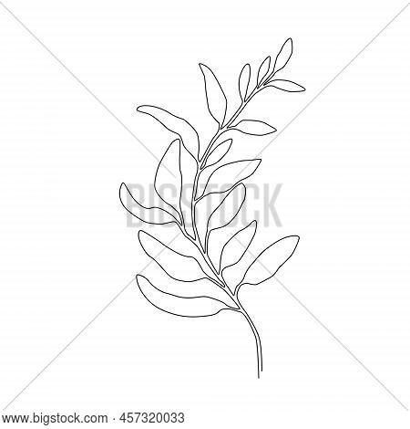 Continuous One Line Tree Leaf. Vector Illustration.