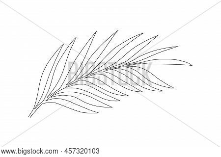 Continuous One Line Tree Leaf. Vector Illustration.