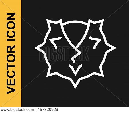 White Line Chestnut Icon Isolated On Black Background. Barbed And Strong Chestnut. Vector