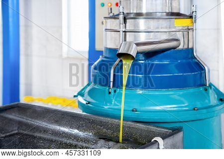 Olive Oil Pours From Tap Of Spin Machine. Process Of Producing Fresh Olive Oil Of First Cold Pressin