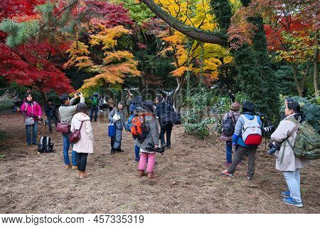 Tokyo, Japan - November 30, 2016: Photography Hobby Enthusiasts Visit Shinjuku Gyoen In Tokyo, Japan