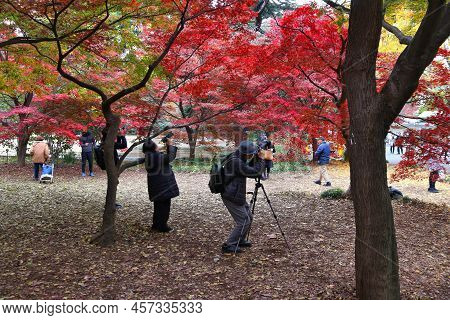 Tokyo, Japan - November 30, 2016: Photography Hobby Enthusiasts Visit Shinjuku Gyoen In Tokyo, Japan