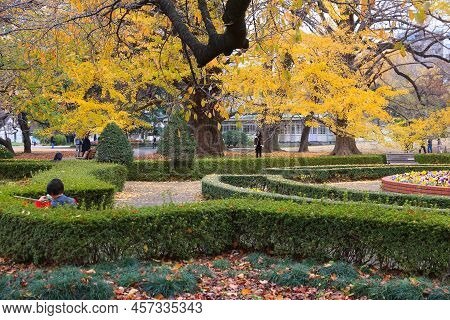 Tokyo, Japan - November 30, 2016: People Visit Shinjuku Gyoen In Tokyo, Japan. Shinjuku Gyoen Park I
