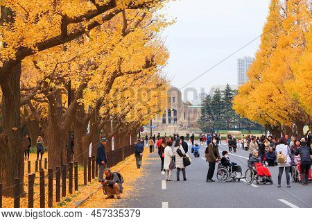 Tokyo, Japan - November 30, 2016: People Celebrate Ginkgo Avenue Autumn Foliage In Tokyo, Japan. Ich