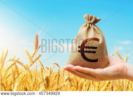 Wheat Field And Euro Money Bag. Agroindustry And The Agricultural Business. World Hunger. Grains And