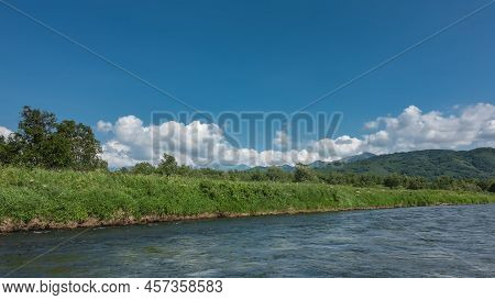 On The Bank Of The Blue River There Is Lush Vegetation: Grass, Wildflowers, Trees. Cumulus Clouds In