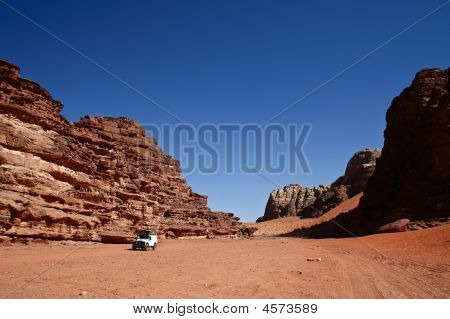 Safari In The Desert