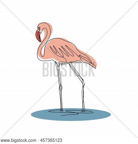Flamingo Line Art Isolated Vector. Beautiful Pink Bird Stands In Water. Flamingo Continuous Contour 