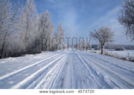 Road In Snow