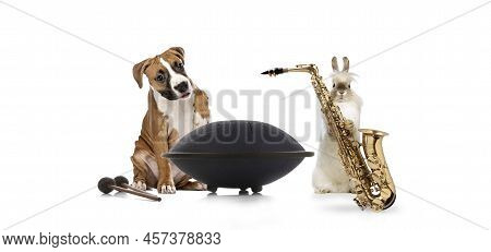 Creative Collage With Dog And Rabbit Playing Music Instruments Together Isolated Over White Backgrou