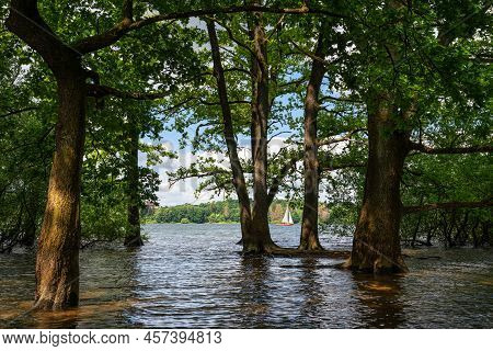 Panoramic Landscape Of Brucher Reservoir At Summertime, Recreation And Hiking Area Of Bergisches Lan
