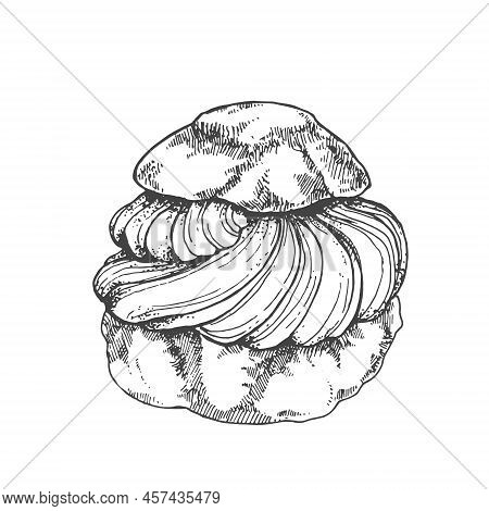 Hand Drawn Vector Choux A La Creme Vintage Illustration