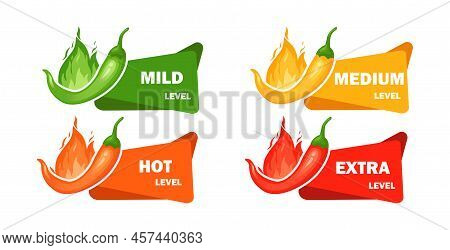 Hot Level With Flame Pepper. Infographic Design Template With Red Hot Chili Pepper On White Backgrou