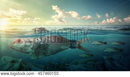Fish Swims Among Plastic Ocean Pollution. Environment Concept