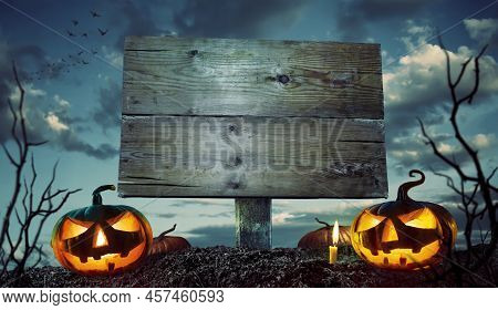 Halloween Night Concept. Space For Your Halloween Holiday Text.