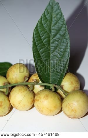 Baccaurea Motleyana With Leaf For Eat