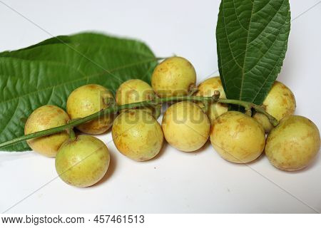 Baccaurea Motleyana With Leaf For Eat