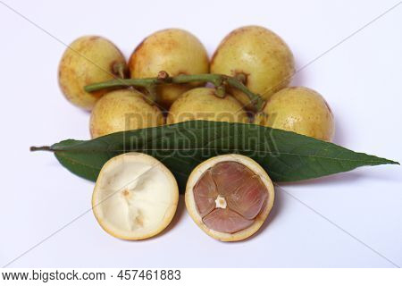 Baccaurea Motleyana With Leaf For Eat