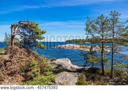 Landscape With Rocks And Trees On The Island Hasselö In Sweden.