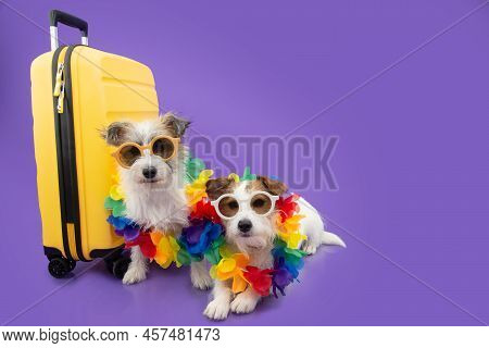Two Dogs Going On Vacation. Isolated On Purple Background