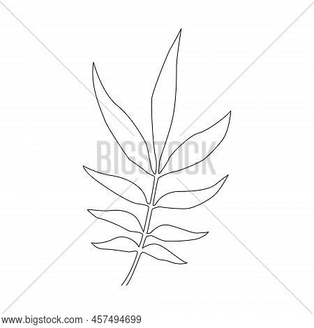 Leaf Icon With Hand Drawn Lines. Vector.