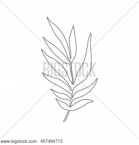 Leaf Icon With Hand Drawn Lines. Vector.