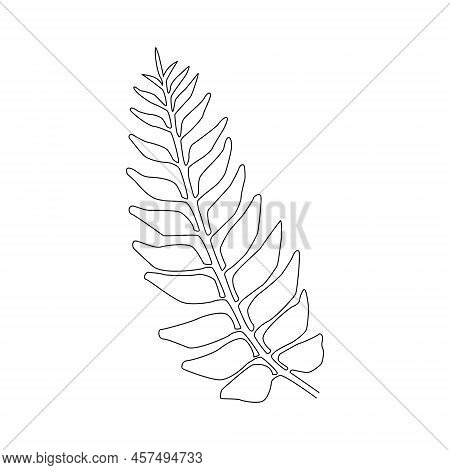 Leaf Icon With Hand Drawn Lines. Vector.