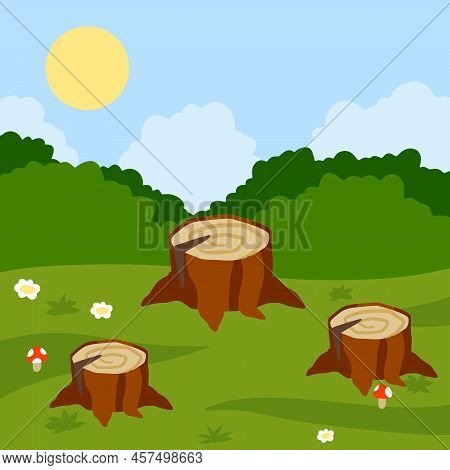 Stump In Forest Meadow. Green Field With Grass. Background For Child Drawing. Summer Nature. Funny S