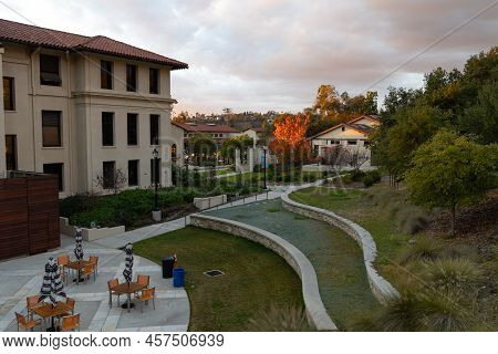Los Angeles, Ca - December 28 2021:  Sunset Over Occidental College With A Lone Autumn Tree Lit By T