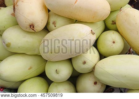 Muskmelon Stock On Shop For Sell